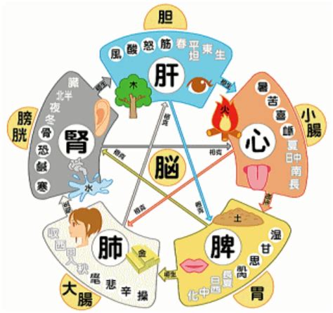 五行陰陽論 會議室 座位